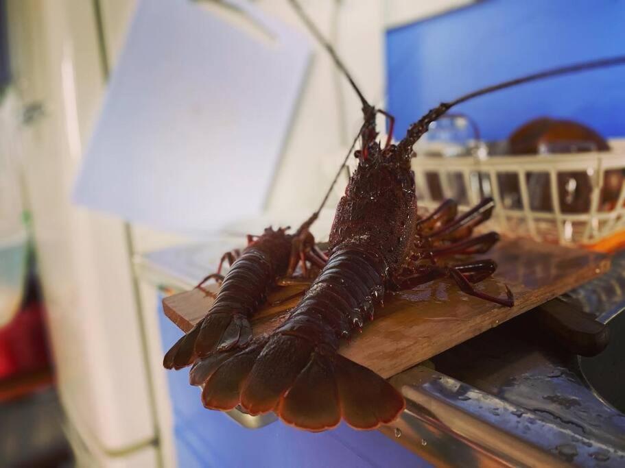 Sazanami Villa Shimoda  Bagian luar foto